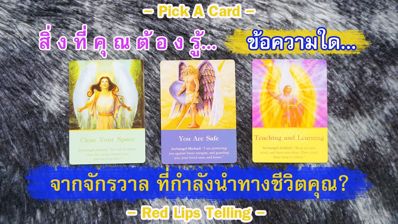 Pick A Card : สิ่งที่คุณต้องรู้? ข้อความใดจากจักรวาล ที่กำลังนำทางชีวิตคุณ? [ Timeless ]