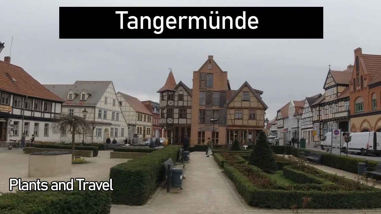 Deutschlands schönste Kleinstadt Tangermünde, stimmt das ?