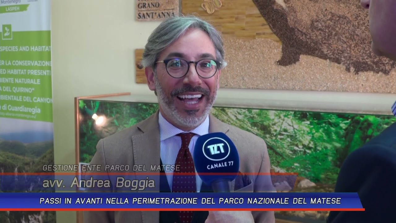 TLT NEWS EDIZIONE GIORNO 13-03-26