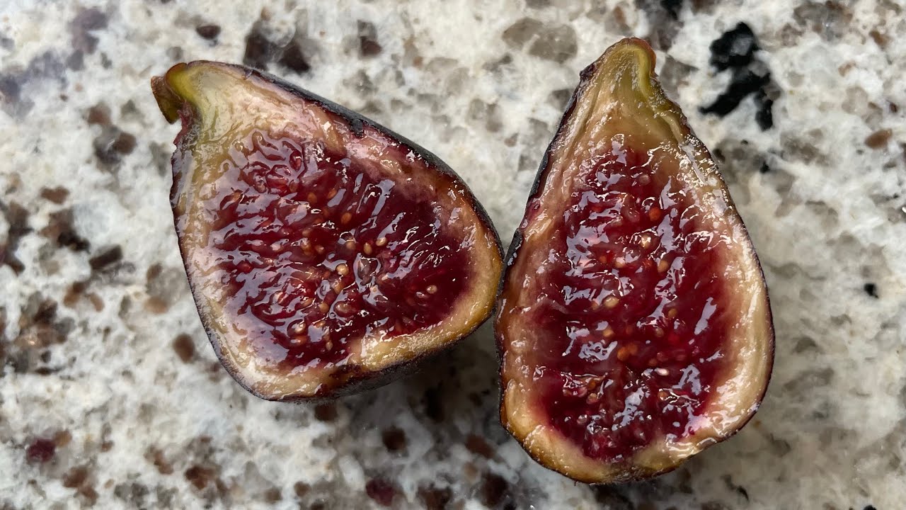 São Miguel Roxo aka Azores Dark fig tasting - is it the best Mt. Etna?