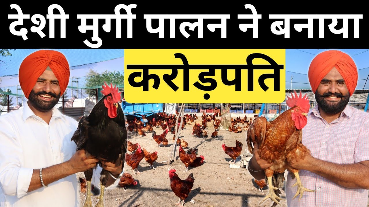 देशी मुर्गी पालन का 28 साल का अनुभव | Desi Poultry Farming | Desi Murgi Farm Business