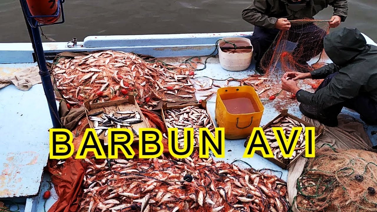 BARBUN AVI KARADENİZ BALIK AVI - BALIKTA