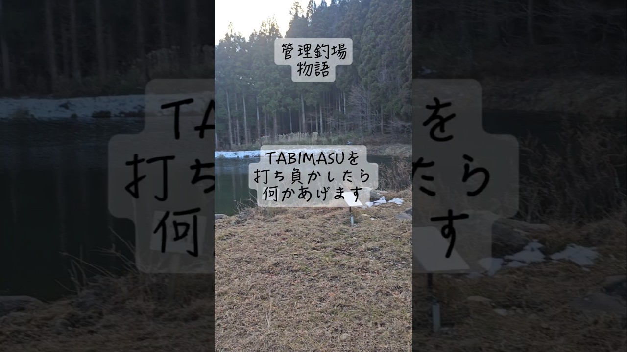 TABIMASUを打ち負かしたら何かあげます【管理釣場物語】