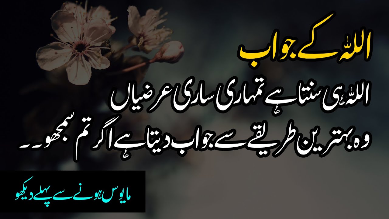 ALLAH Tumhari Arziyon kay Behtareen Tareekon se Jawab Deta Hai Agar Tum Samjho | LailaAyatAhmad