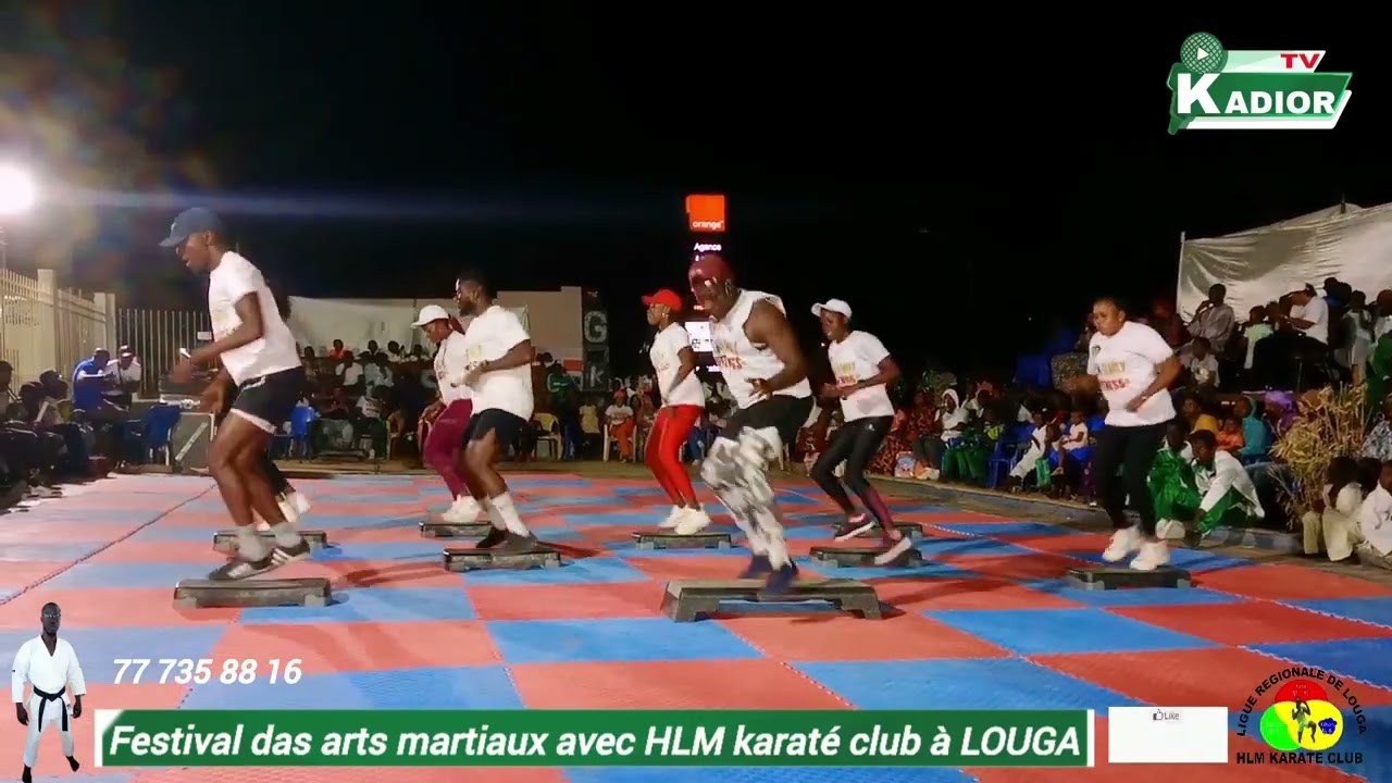 festival das arts martiaux avec HLM karaté club