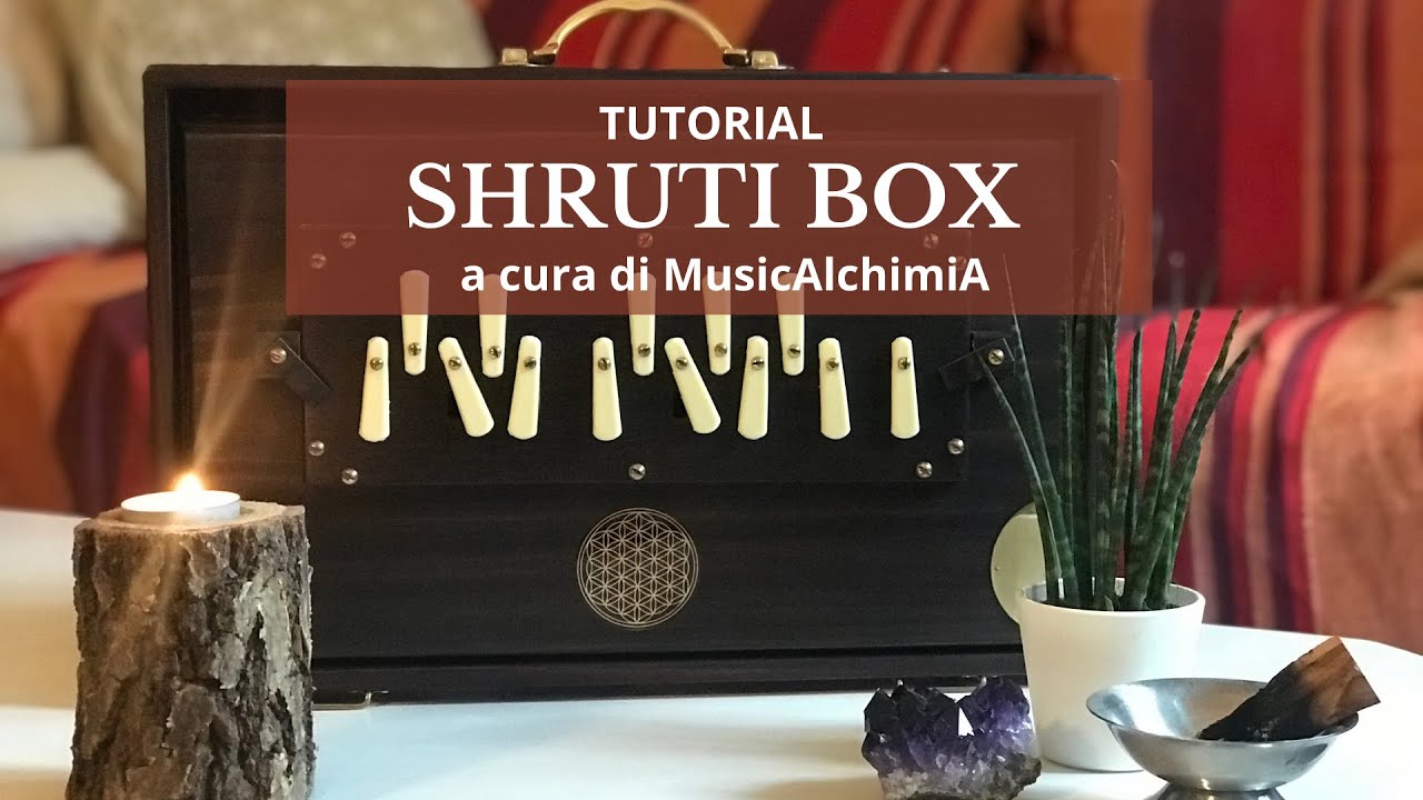 Tutorial Shruti Box