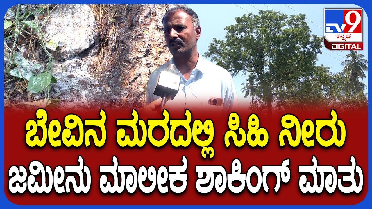 Neem Treeನಲ್ಲಿ ಸಕ್ಕರೆಯಷ್ಟೇ ಸಿಹಿಯಾದ ದ್ರಾವಣ.. ಜಮೀನು ಮಾಲೀಕ ಶಾಕಿಂಗ್ ರಿಯಾಕ್ಷನ್ | #TV9D