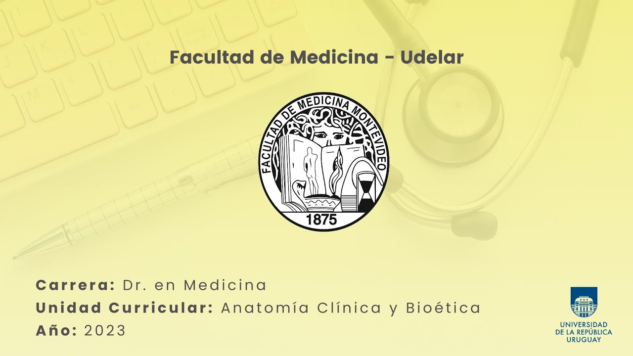 Mecánica ventilatoria