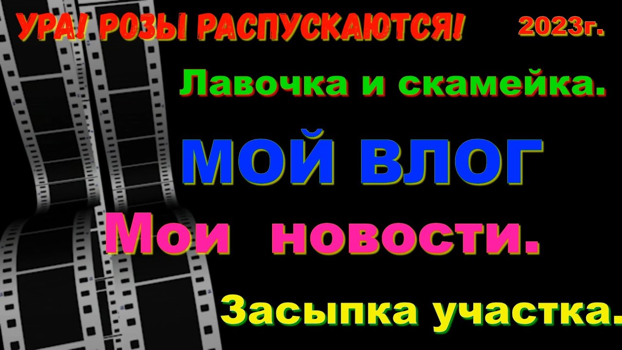 ВЛОГ. Распустилась роза. Собрал скамейку и лавочку. Засыпка участка. Мои новости. Влог.
