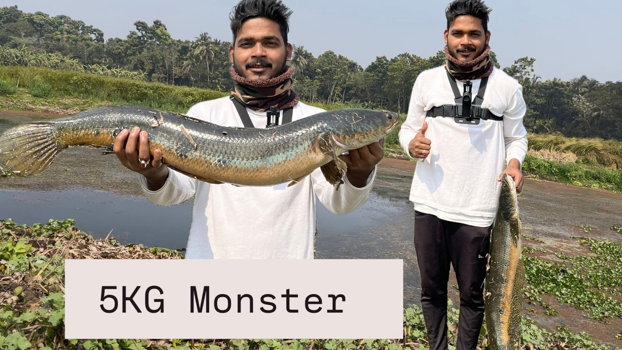 This 5KG Snakehead Almost Pulled My Rod In! | River Fishing