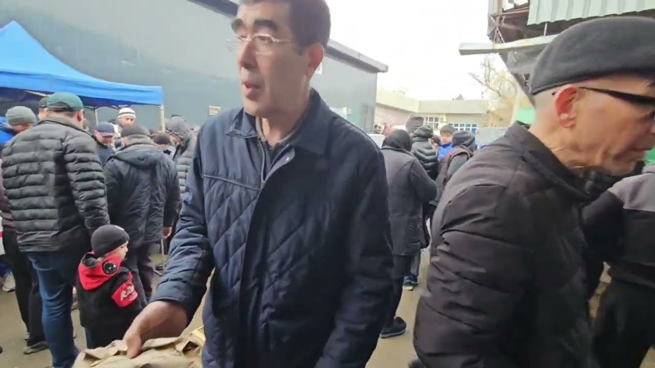 Тошкент қуш бозори: 8.03.2025