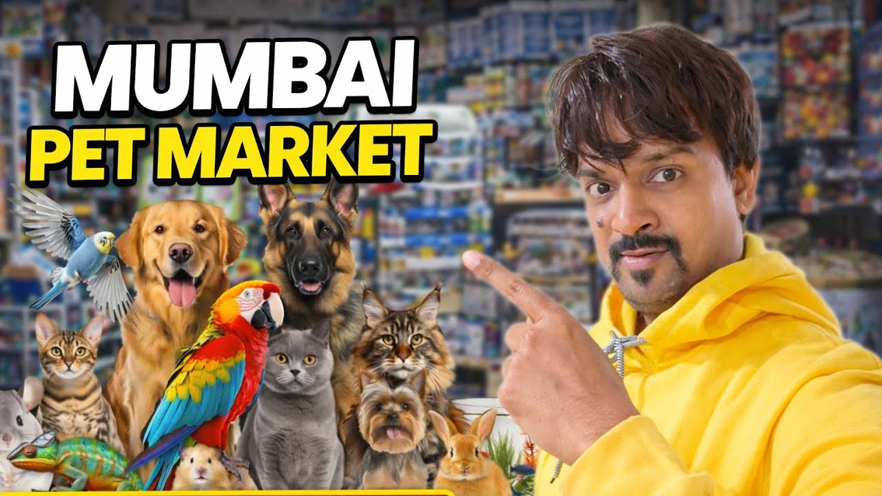 mumbai pet market | Crawford pet market mumbai | birds cats & more | Crawford marketmumbai