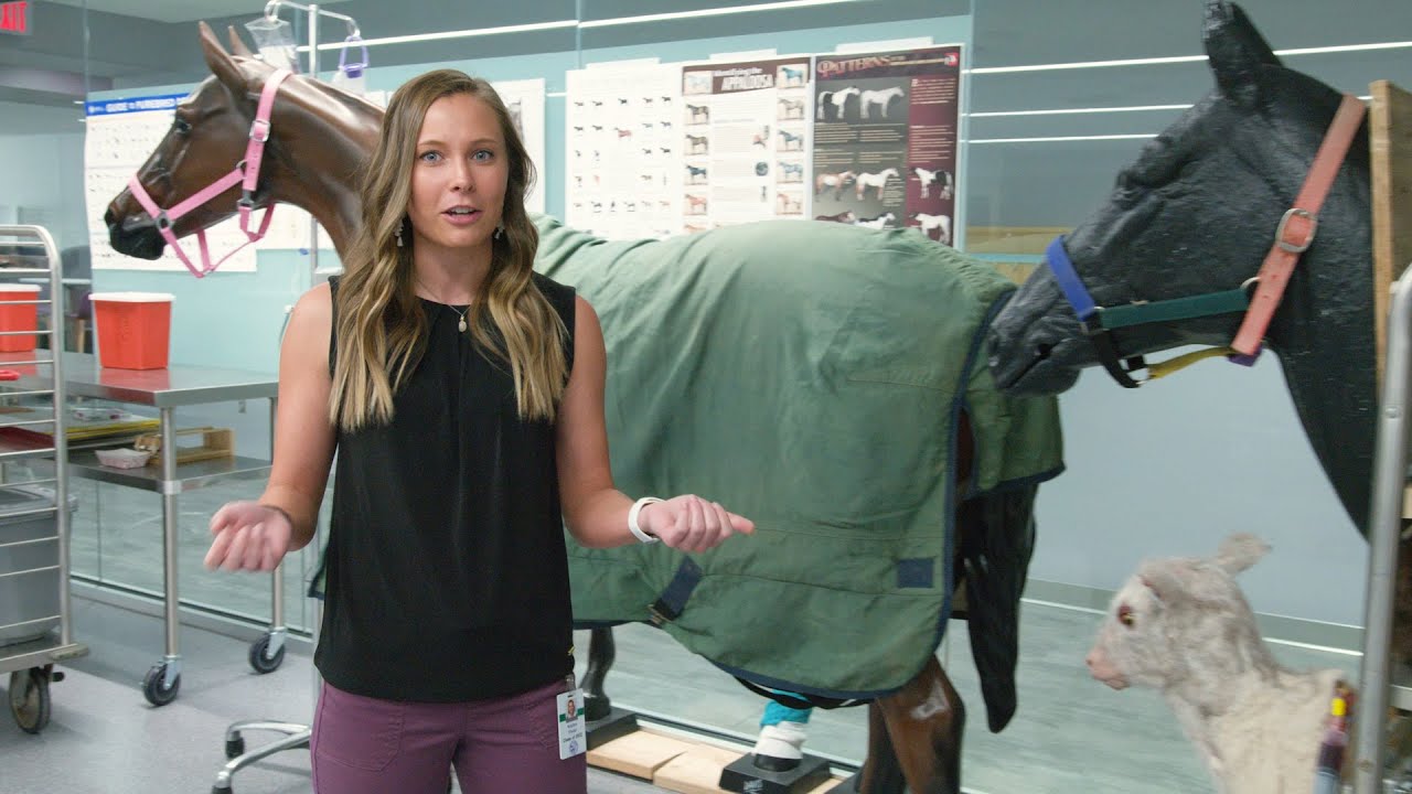 K-State Vet Med Virtual Tour - Student Spaces