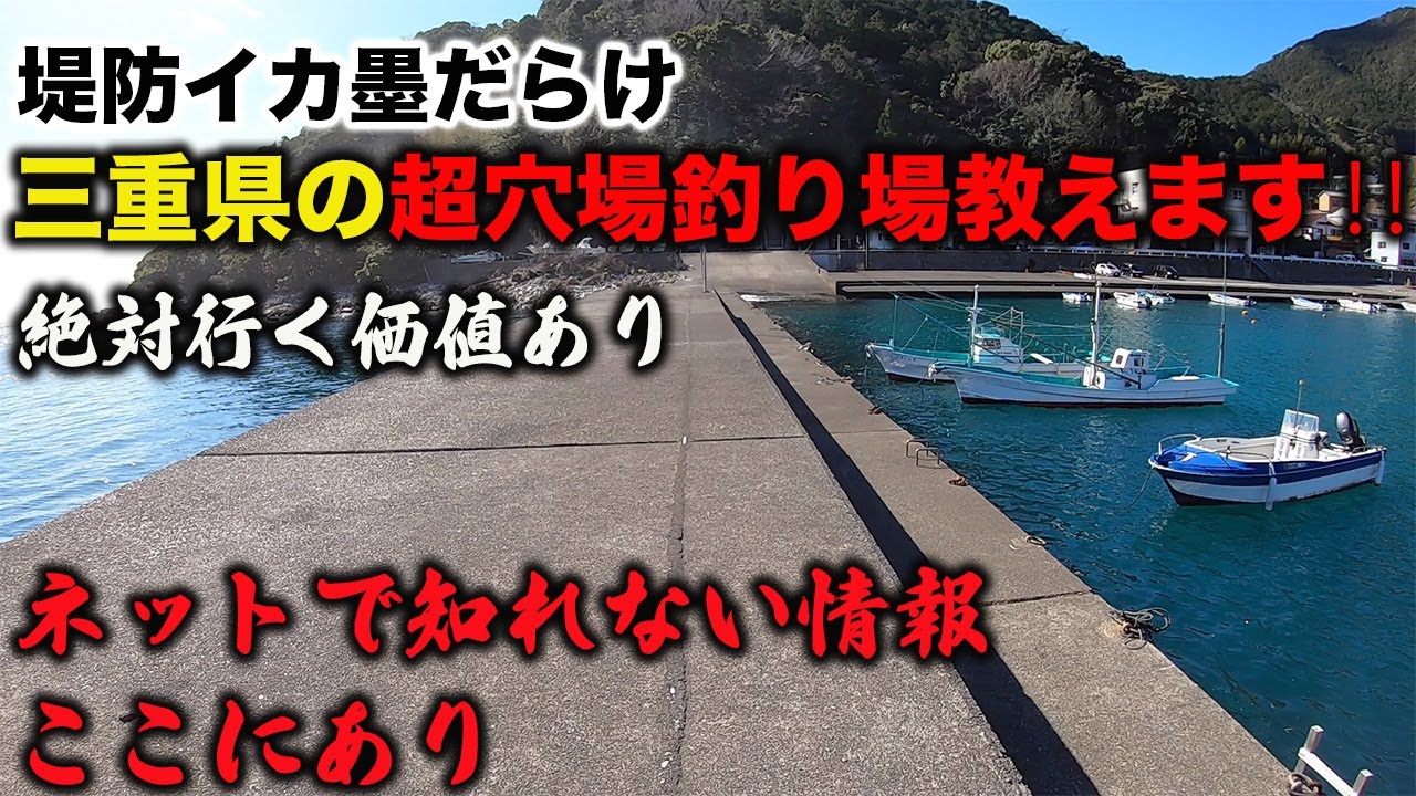 【三重県の釣りポイント】釣り好き必見‼︎アオリイカ釣りたければここに行け❗️隠れた穴場釣場教えます