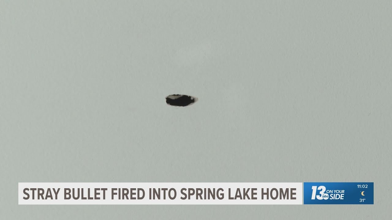 Michigan Family Rattled after Stray Bullet Fired Into Home