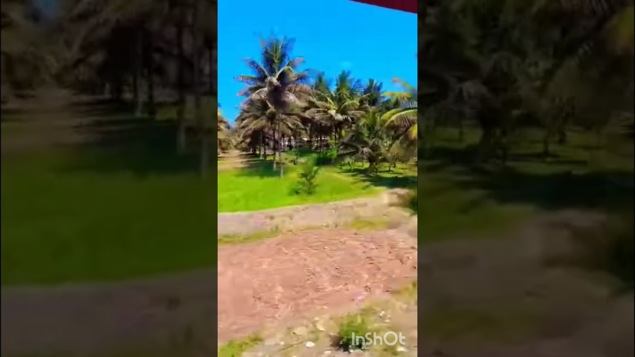 ट्रेन का सफर 🚊😛 