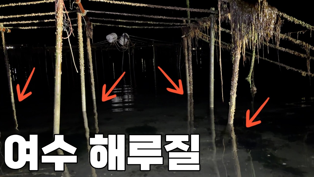 초보자도 가능! 여수 해루질 1시간 만에 이만큼 잡았습니다 해산물 파티!?