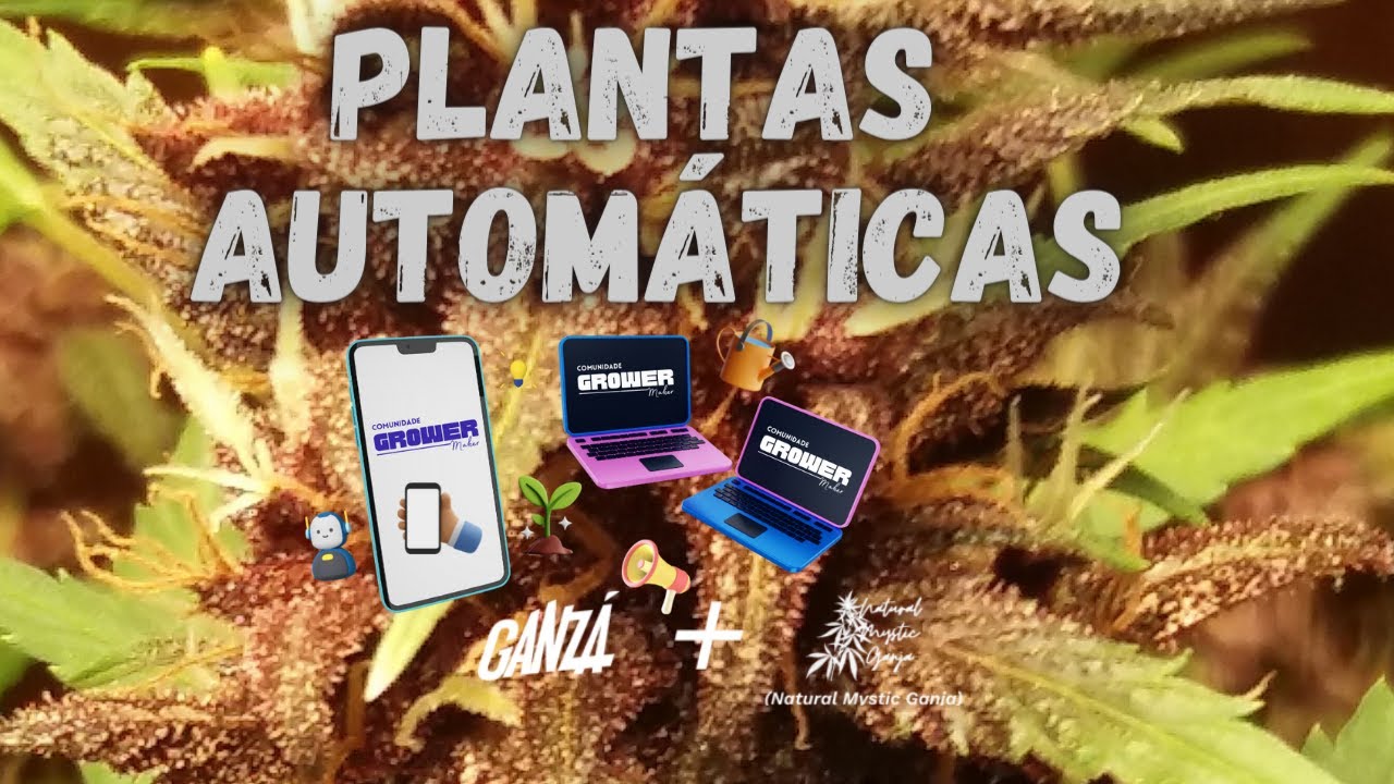 PLANTAS AUTOM&Aacute;TICAS  - ALGUMAS DICAS E CONSIDERA&Ccedil;&Otilde;ES