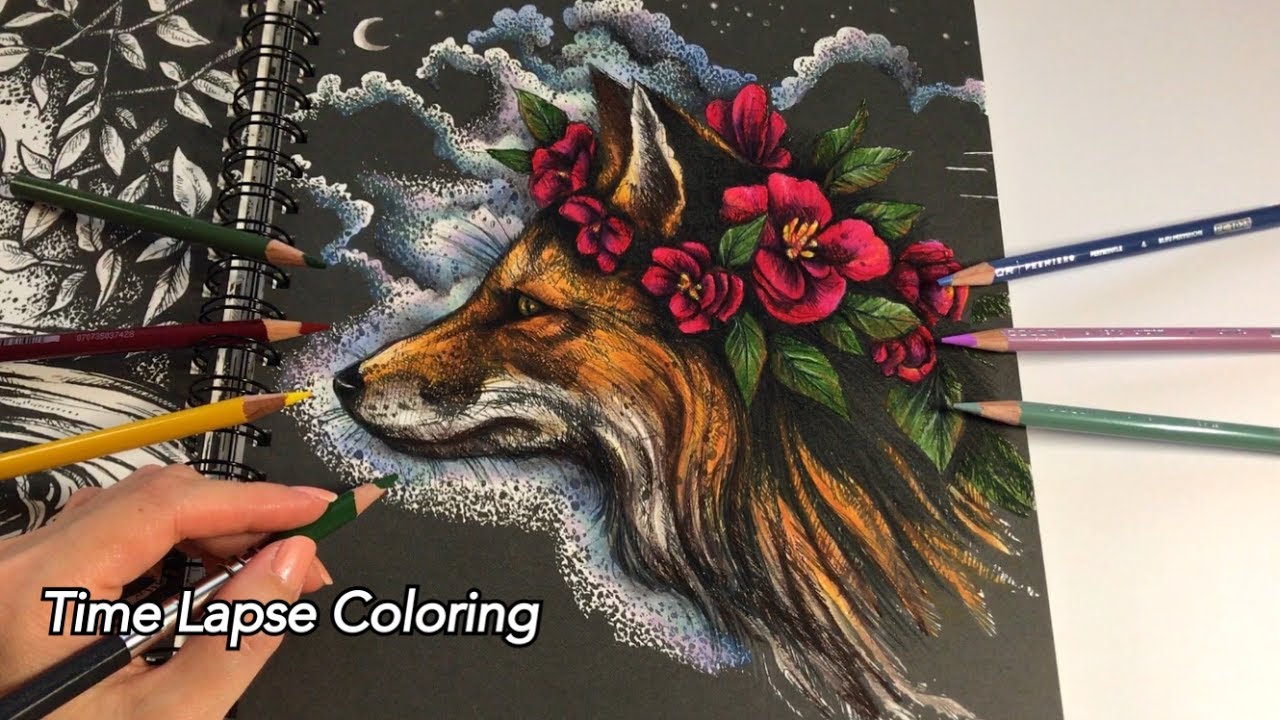 Time-Lapse Coloring - The Midnight Fox | Ticket To Dreams Coloring Book