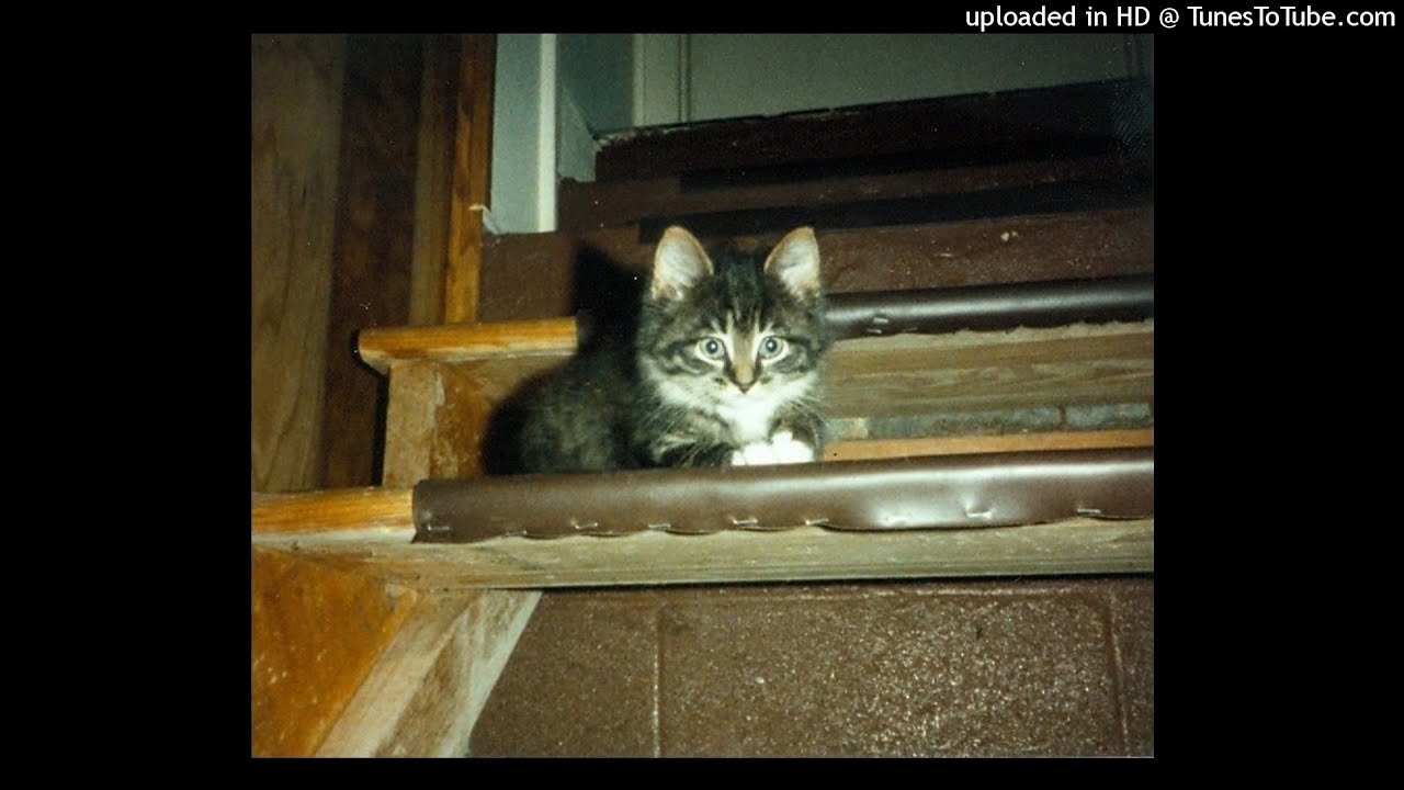 osquinn + catmother + lowertown type beat