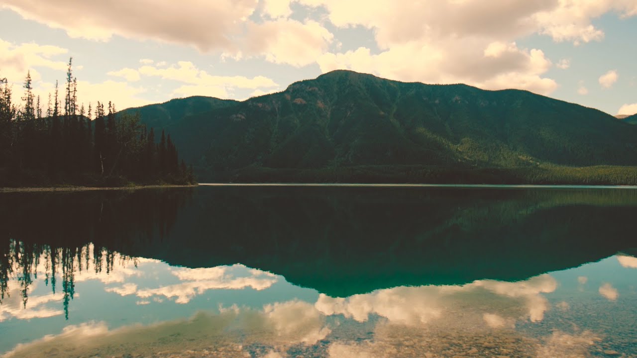 Northern Rockies & Signpost Forest