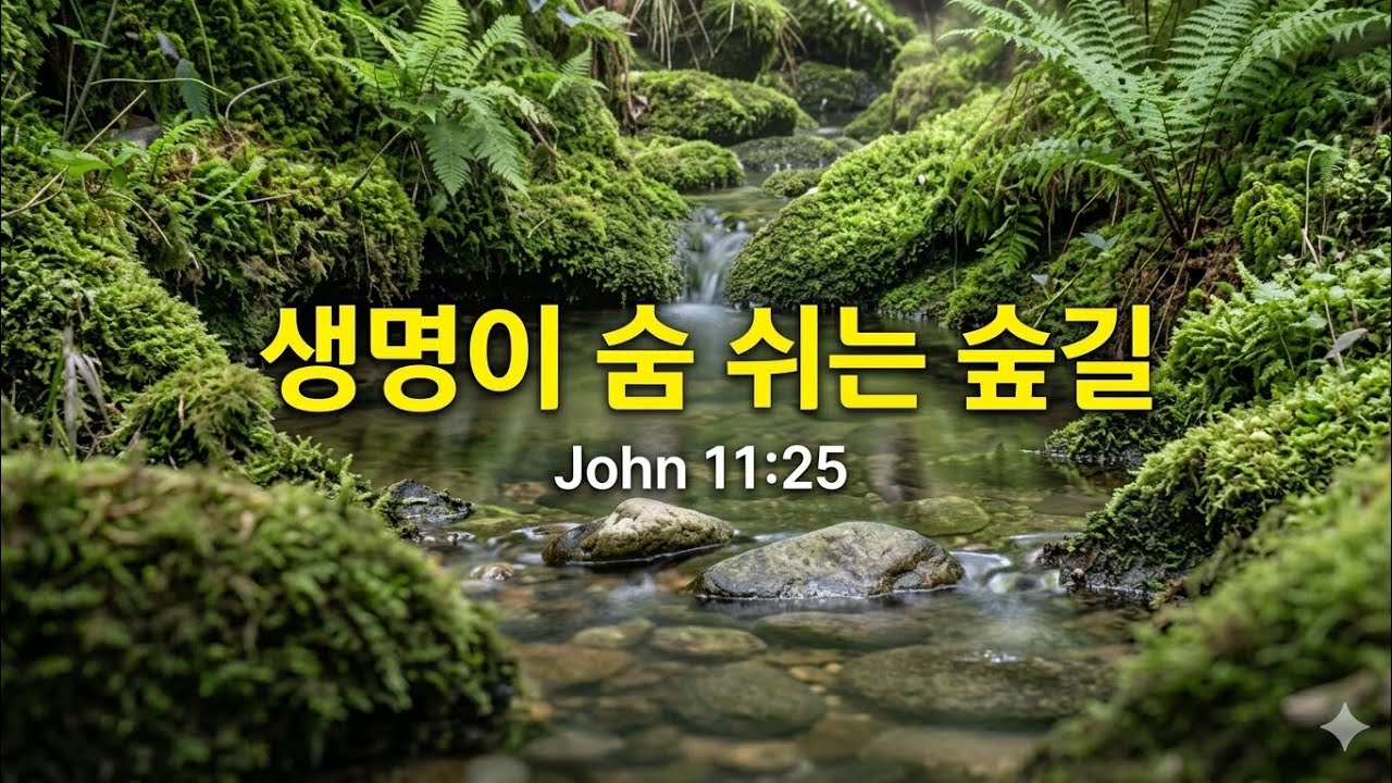 [힐링묵상] 생명이 숨 쉬는 숲길 🌿 | The Forest Where Life Breathes