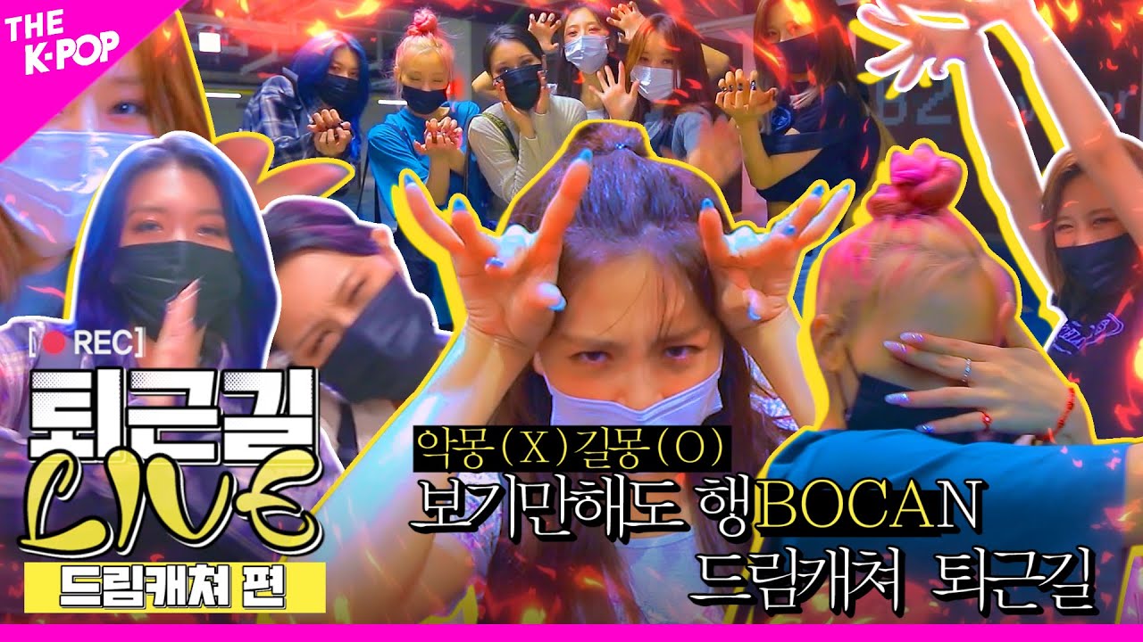 [퇴근길 LIVE] 보기만해도 행BOCA다. 드림캐쳐(DREAMCATCHER)의 퇴근길!