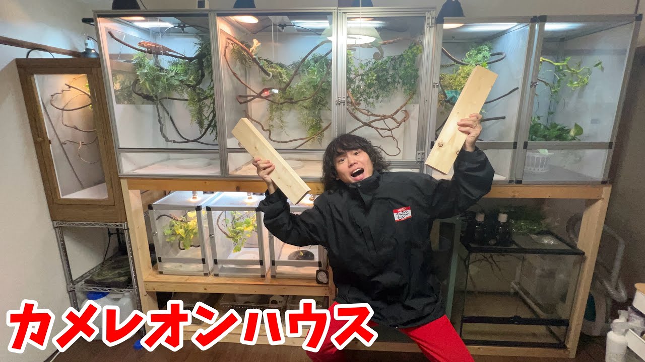 爬虫類ケージ棚DIYしたら指に穴空いた