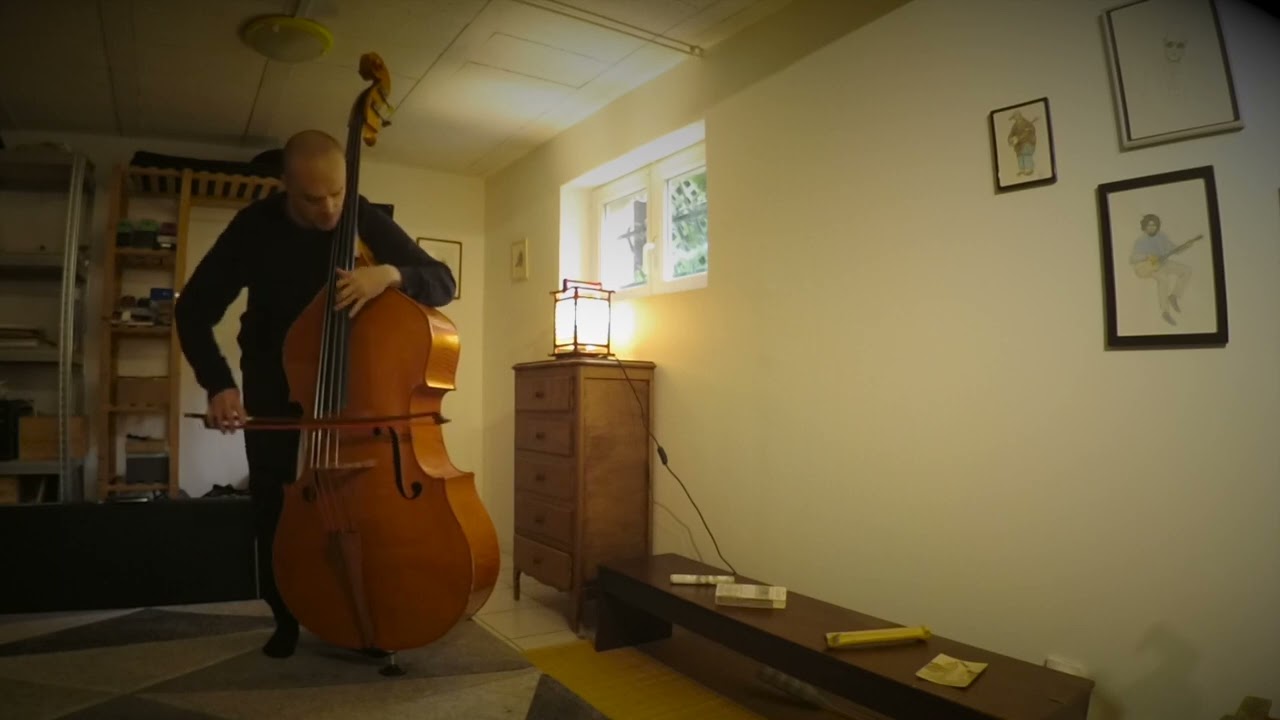 Coruss synthetic bow hair - double bass