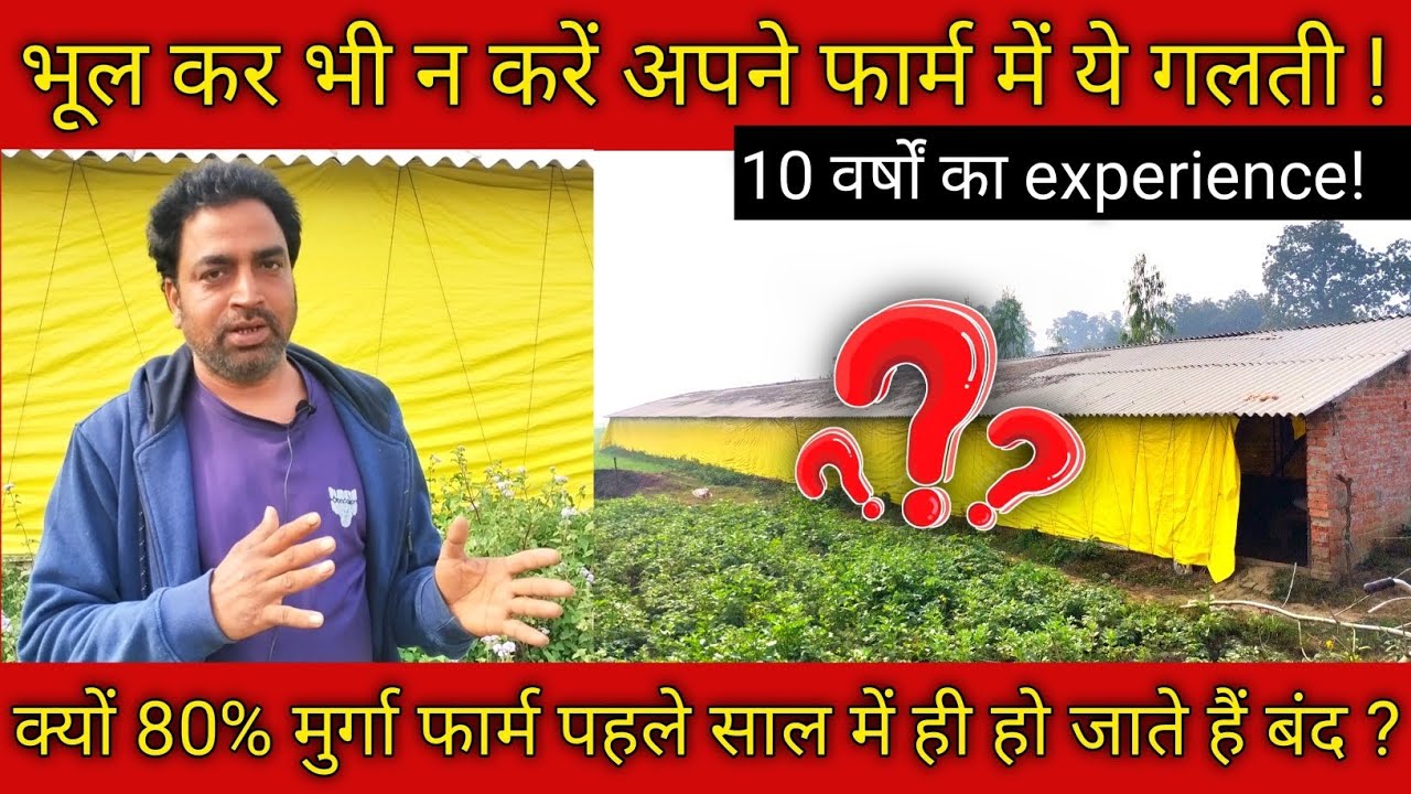 क्यों 80% मुर्गा फार्म पहले साल में ही हो जाते हैं बंद । भूल कर भी न करे अपने फार्म में ये गलती ।