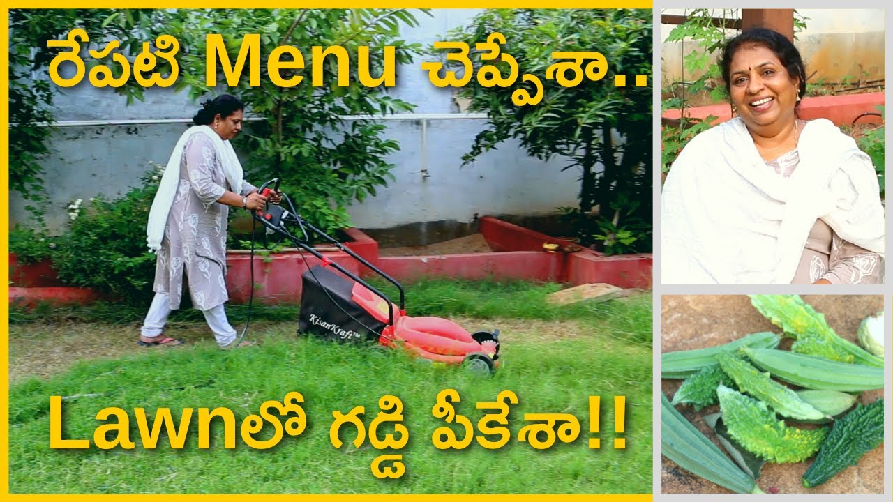 kitchen garden/ Farm fresh Bitter  gourd/ Ridge Gourd/Hyderabad gardener