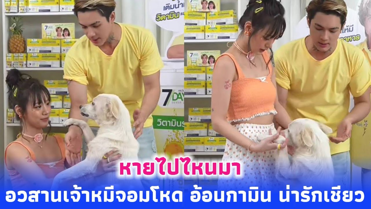 ชาลี กามิน ทำงาน เจ้าหมีนอนเฝ้าตลอดไลฟ์ โมเม้นครอบครัวน่ารักมาก อวสานหมีจอมโหด อ้อนกามินน่ารักเชียว😊