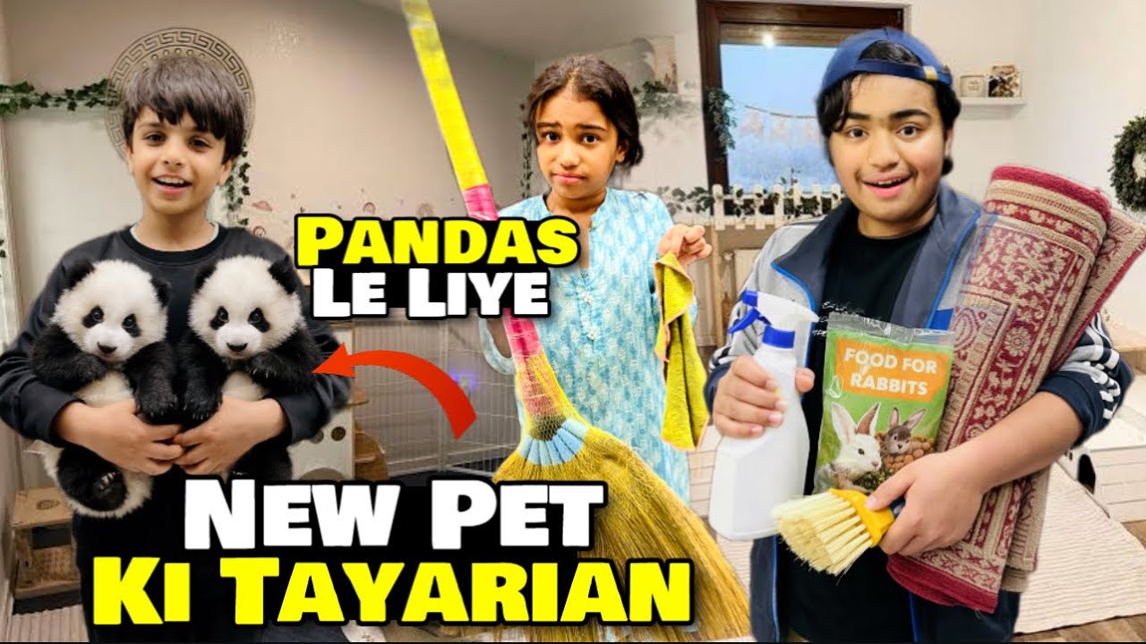New Pet Ke Liye Tayarian Shuru Kardi😍| Baby Pandas Le Liye ?😂| Sehri Time Par Football Khela🤩