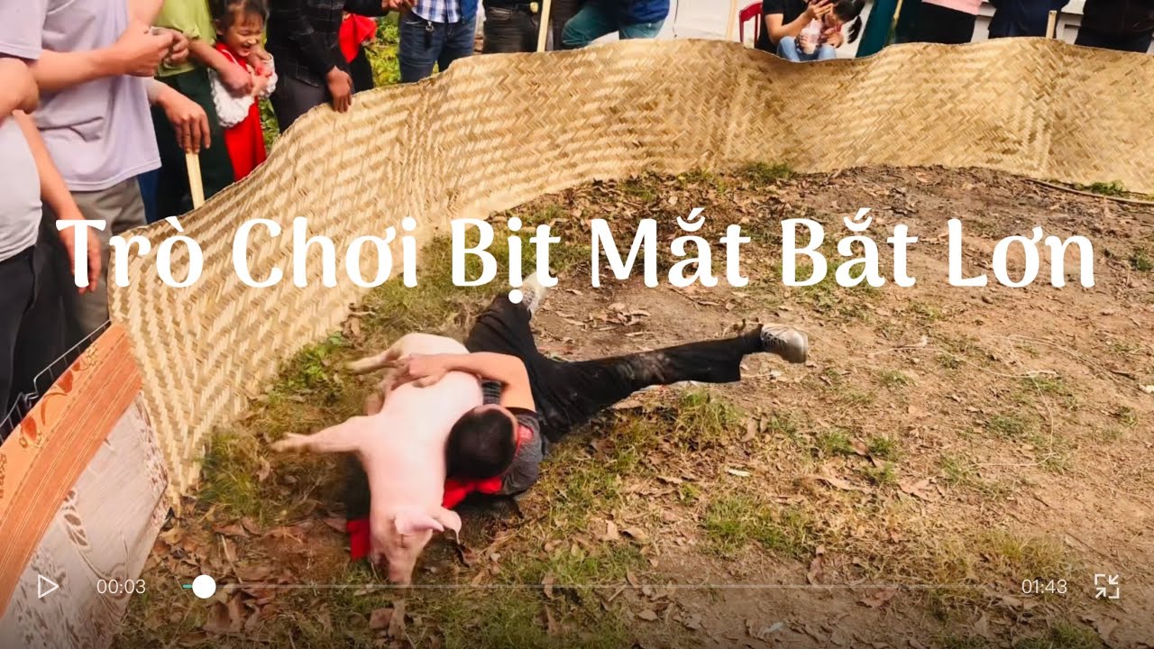 Trò Chơi Bịt Mắt Bắt Lợn - Hội Làng - blindfolded pig catching game