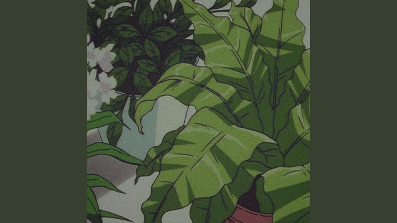 Plantas