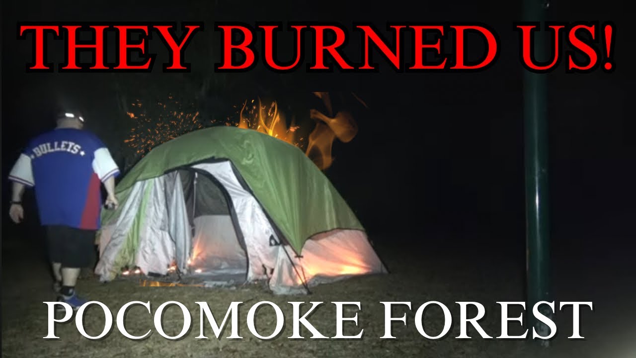 TERRIFYING Camping Experience in Pocomoke Forest Overnight!