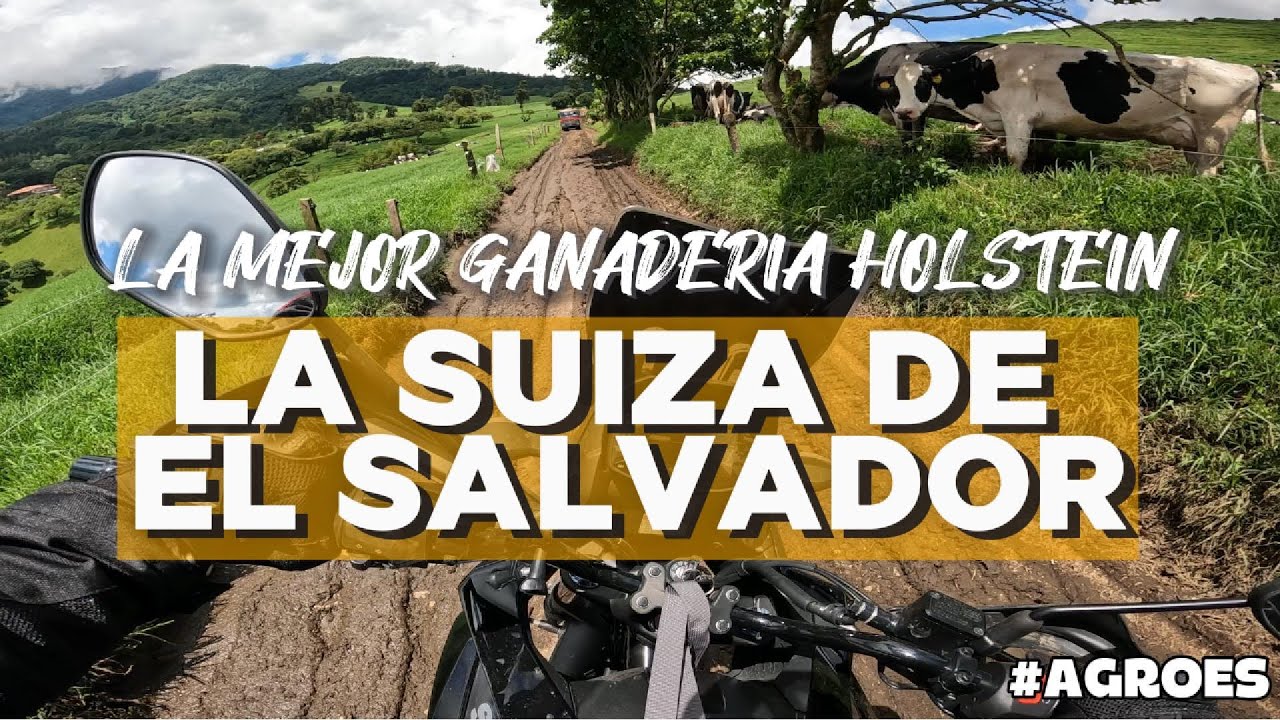 La mejor GANADERIA Holstein de EL SALVADOR