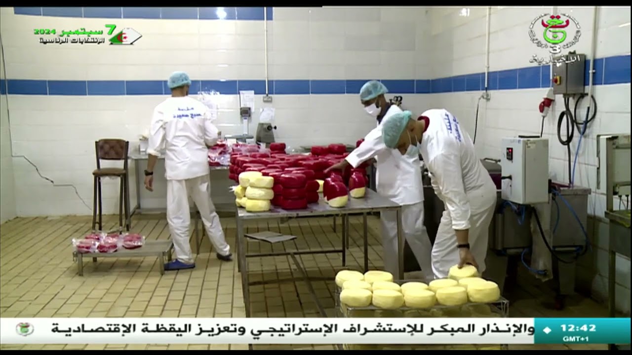 سعيدة: إنتاج أجود أنواع الأجبان بمعايير دولية