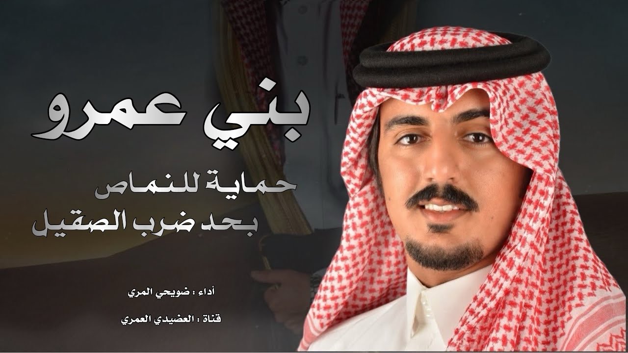 شيلة بني عمرو || ذولا بني عمرو 🤩💥 حماية للنماص بحد ضرب الصقيل 🔥 || أداء : ضويحي بن صخيفان