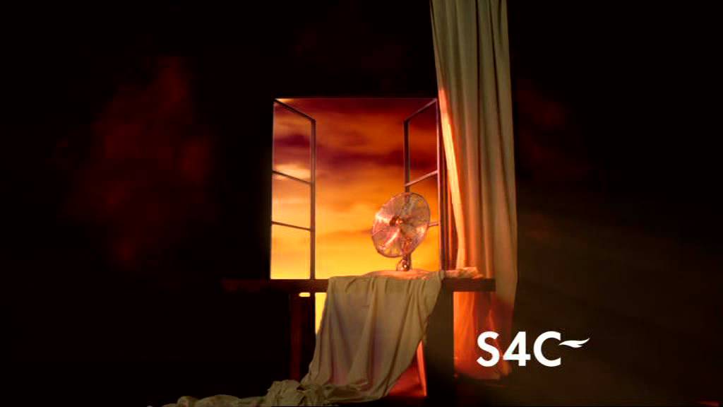 S4C FAN IDENT