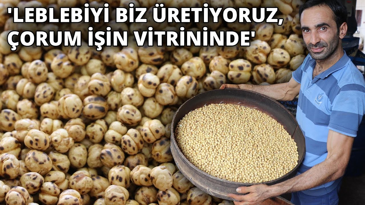 Dünyadaki ilk ve tek leblebi sanayi sitesi... 'Leblebiyi biz üretiyoruz, Çorum işin vitrininde'
