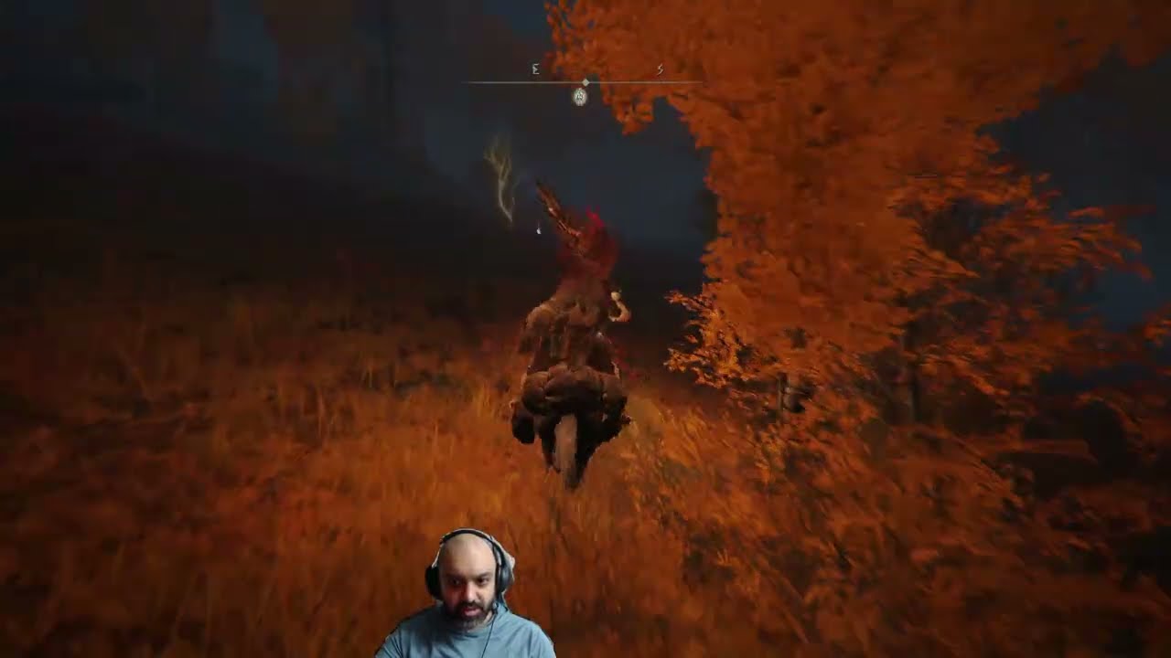 First time playing Elden Ring on Linux [14]