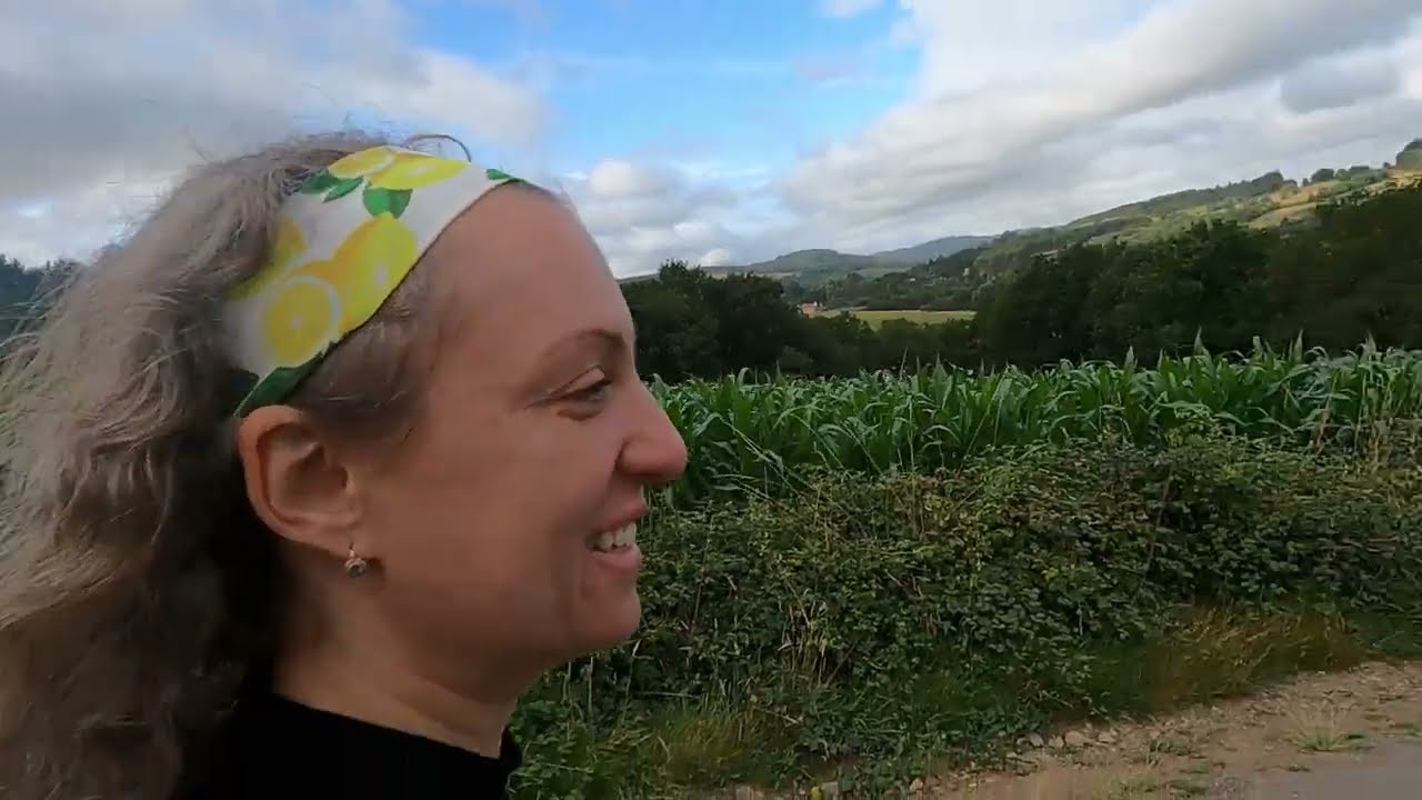 Camino de Santiago 2023: Von Sobrado nach Santiago.