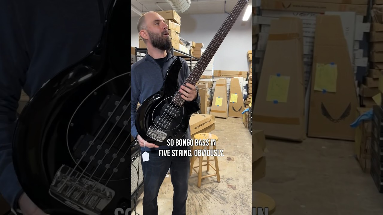 Super cool Music Man Bongo 5 that just rolled in last week!