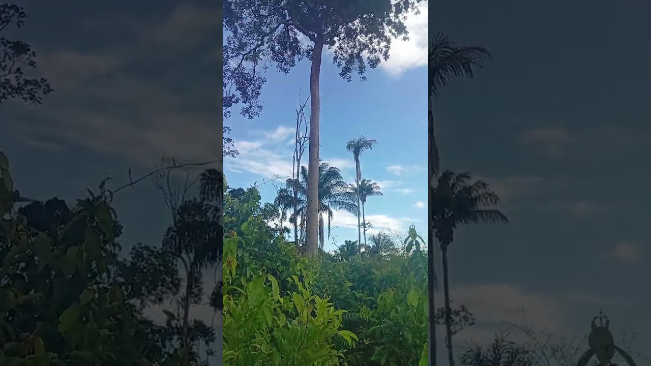 7 de janeiro de 2026