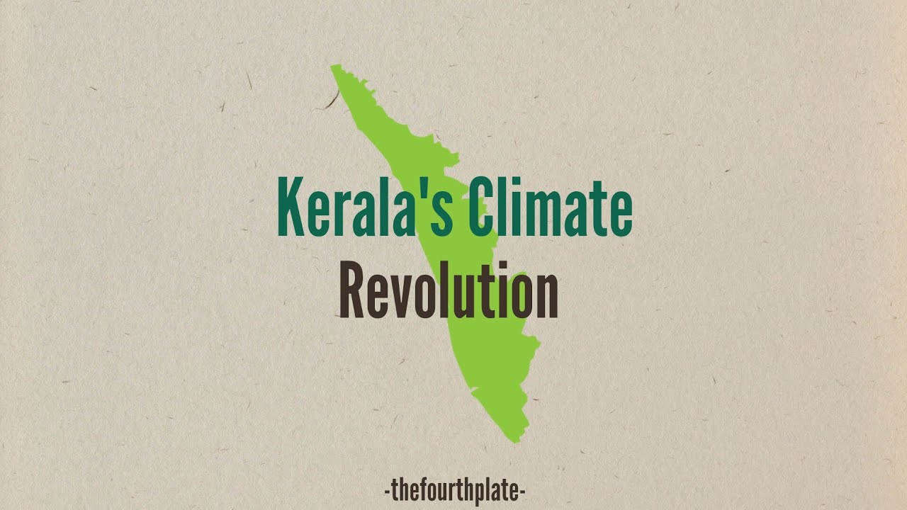 Kerala's Climate Revolution: How Rice Farmers Are Fighting Climate Change While Boosting Profits🌟