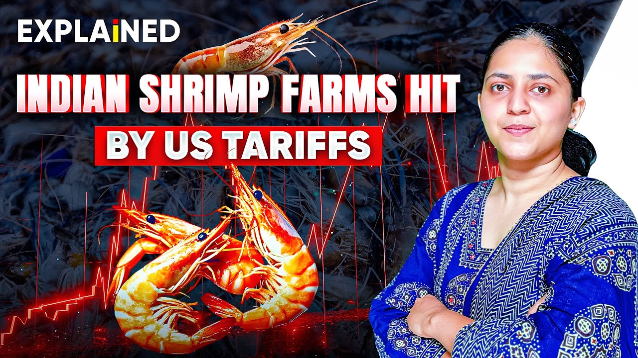 How Trump’s Tariffs Impact India’s Shrimp Farm Exports - Explained #upsc