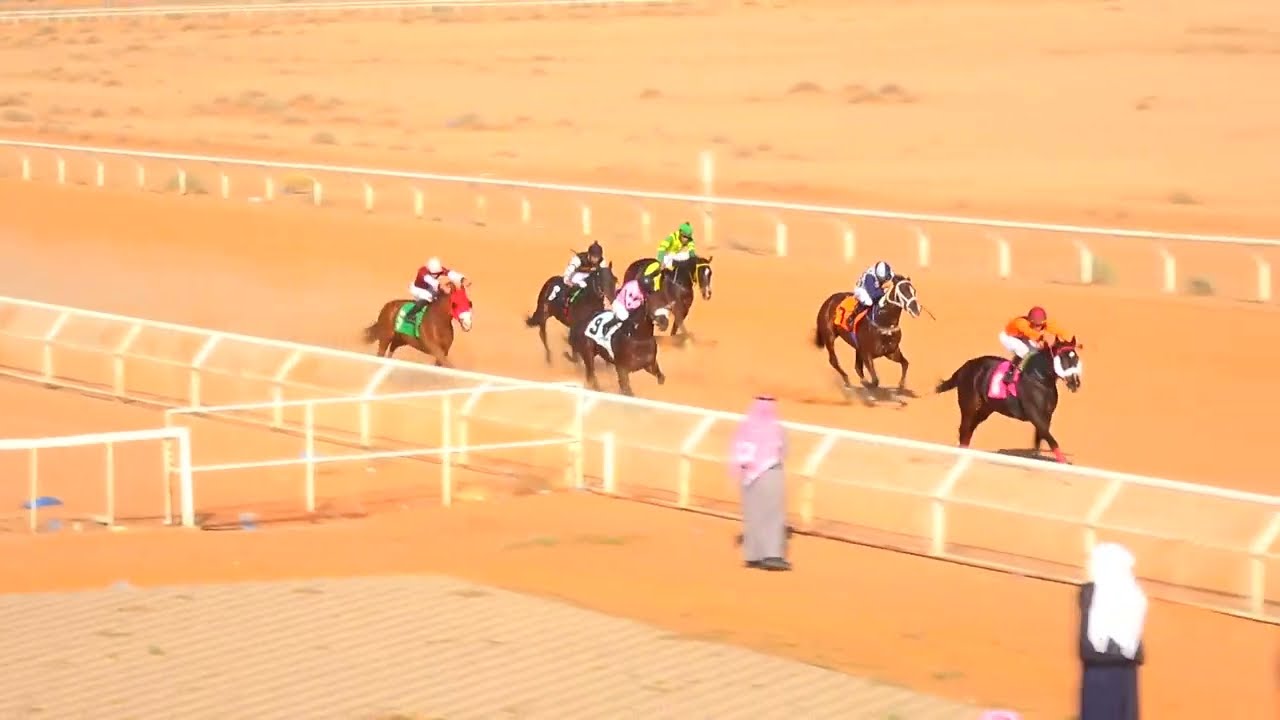 مهرجان رماح لموسم 1447كاس بطل الميادين الشوط الثالث 3
