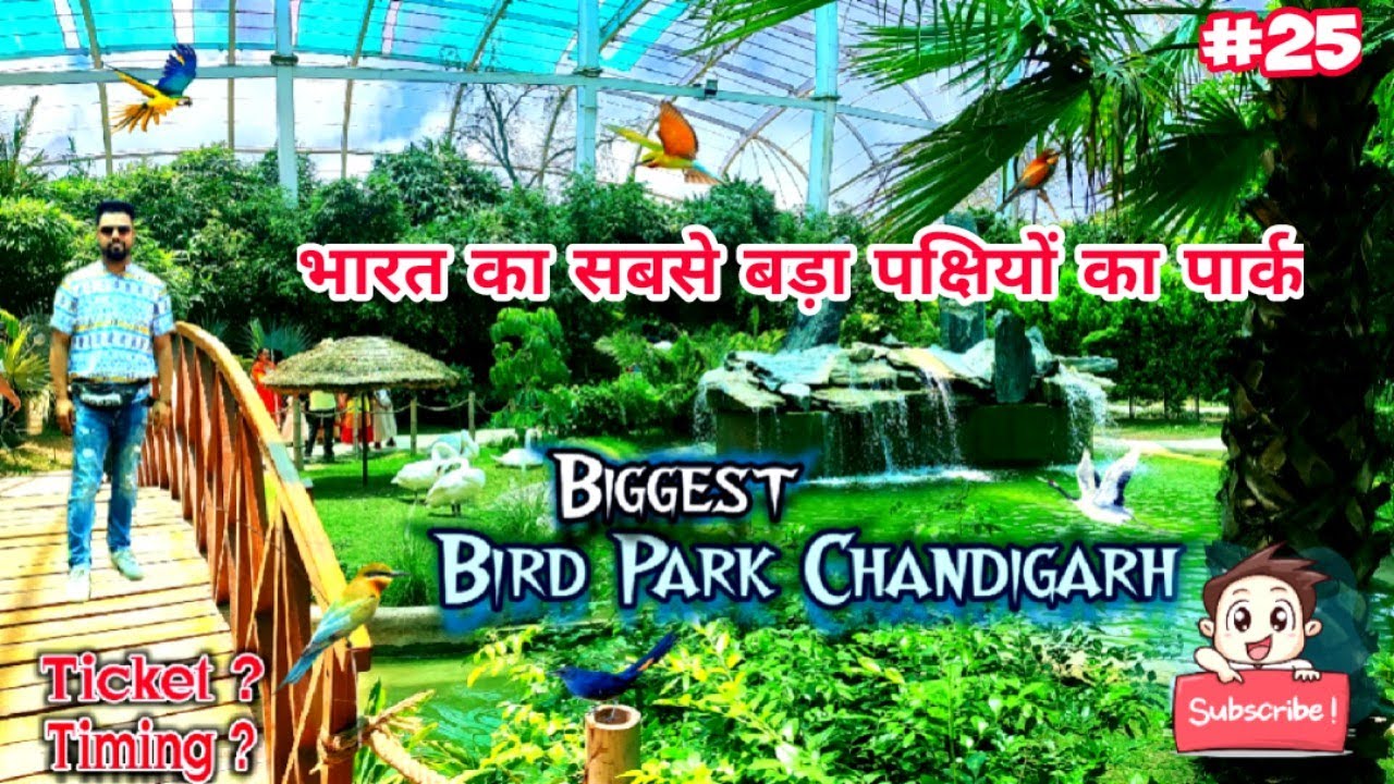 Bird Park Chandigarh | Birds park | Chandigarh Bird Park  | Best places to visit in chandigarh