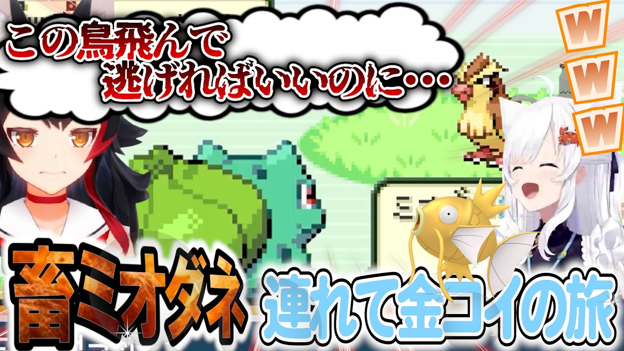 畜発言が得意技だ！相棒のミオダネが言いそうなワードが秀逸すぎるｗ ポケモンファイアレッド【白上フブキ】 ホロライブ切り抜き